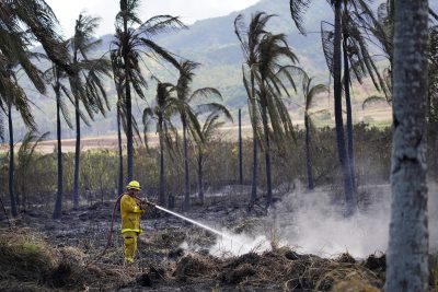 Hawaii Faces An Above Normal Risk Of Significant Wildfires Over The Next Three Months