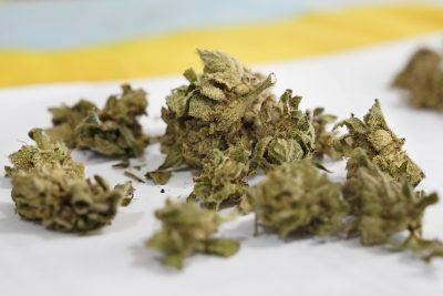 The Sunshine Blog: Blunt Ending? Legal Pot Bill May Be Close To Its Last Gasp