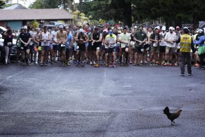 For Honolulu’s Trail Runners, ‘It’s The Exhaustion’ That Appeals