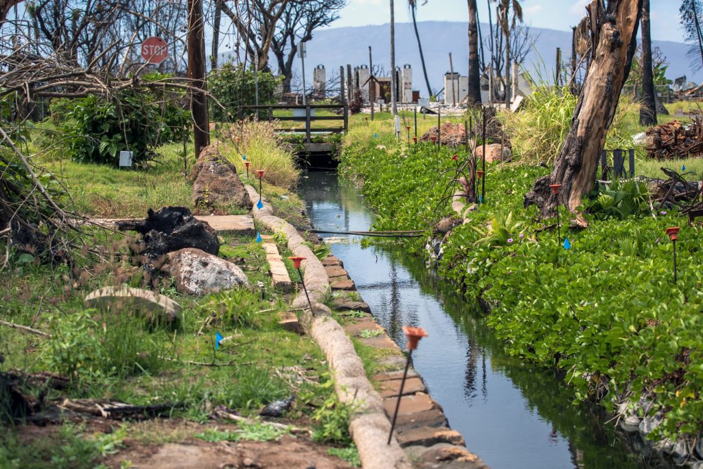 A ditch in Lahaina has water running through it, March 12, 2024. (Nathan Eagle/Civil Beat/2024)