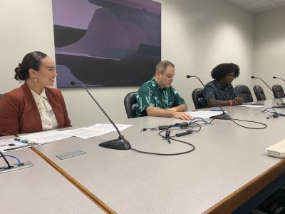 Full Public Financing Of Elections Is Being Revived At Hawaii Legislature