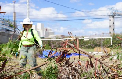 Oahu’s Construction Waste Could Become Food For Crops At A New Kapolei Facility