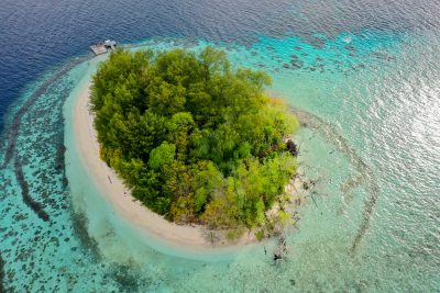 Solomon Islanders Did More Than Just Save JFK During World War II