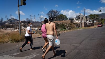 Help Maui Fire Victims: Here’s How You Can Donate