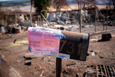 Maui Wildfire Cases Will Stay In Maui State Court