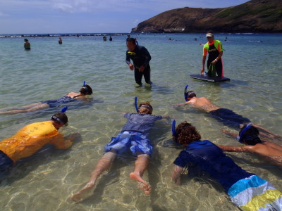 Searching For Answers To Unexplained Snorkeling Deaths