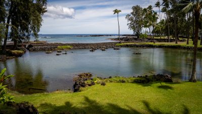 Hawaiian Fishponds Are Rebounding In The Face Of Rising Seas And Invasive Species