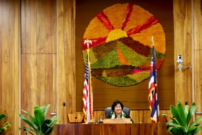 Your 2023 Maui County Council Guide: Everything You Need To Know