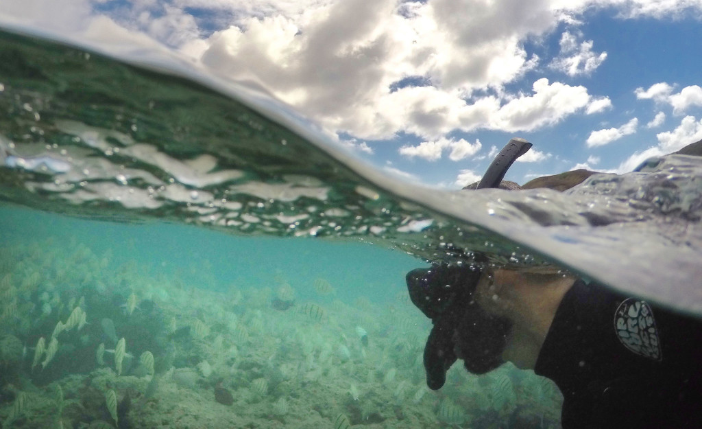 Stand Up Or Die: Snorkeling In Hawaii Is A Leading Cause Of Tourist Deaths