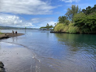State Is Moving Ahead With Wailoa Harbor Dredging Project After Receiving Funding